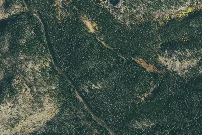 U.S. Forest Service Site 14
