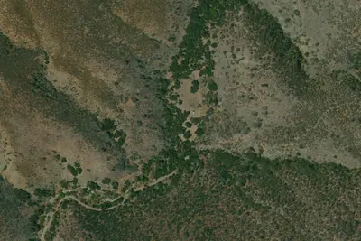 Horseshoe Springs Campground