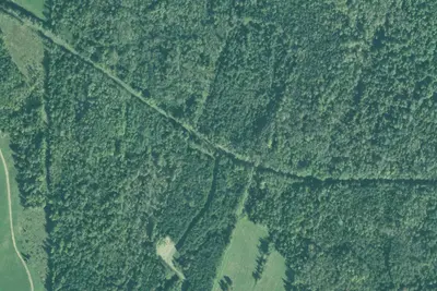 Camp site