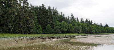 Mallard Slough Cabin