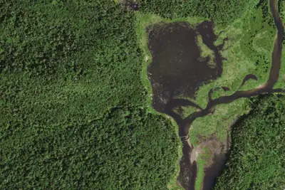 Camp site (NYSDEC)