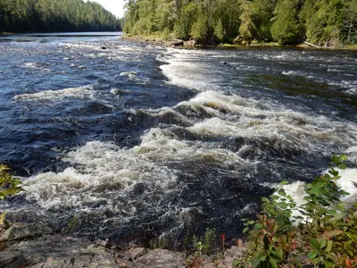 Petawawa River (31744578008)