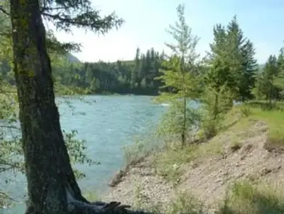 BIG CREEK CAMPGROUND bank of Flathead River