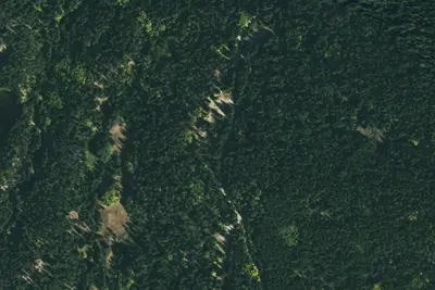 Camp site