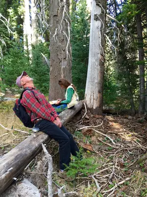 2015. Entomologists Andy Eglitis (left) and Iral Ragenovich during field work assessing long-term monitoring plots in subalpine fir stands affected by balsam woolly adelgid. Crater Lake National Park, Oregon. (41726706501)