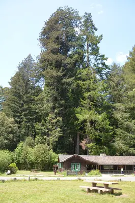 Eureka-Arcata-Fortuna, CA, CA, USA - panoramio (2)