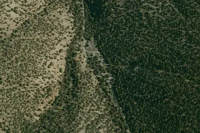 Thorndike Campground (Primitive)