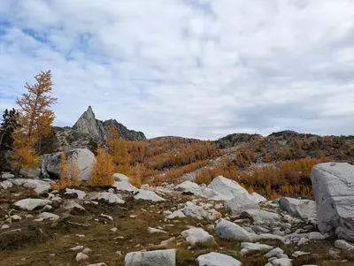 Scenery near Perfection Lake (11 October 2024) 2