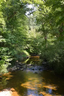 Hamby Creek-01