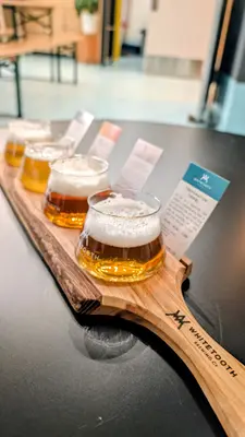 Beer flight at Whitetooth Brewing Company
