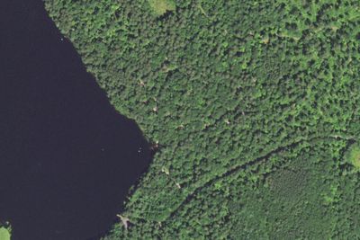 Cunard Lake Campground