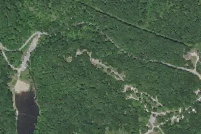 Scout Area