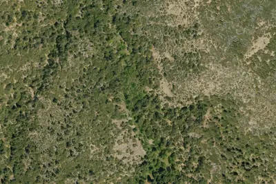 Lower Bear Camp