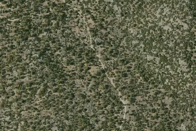 Camp site