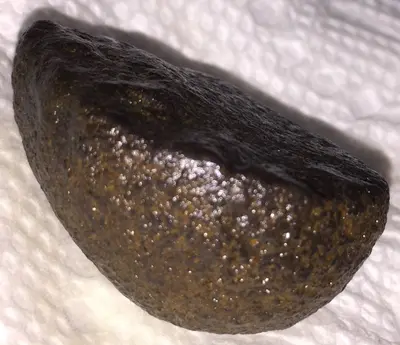 What is This? Half Pecan Nut Shaped Rock - Round Surface