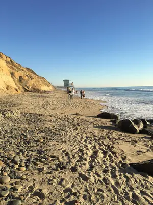Carlsbad State Beach (25150437255)