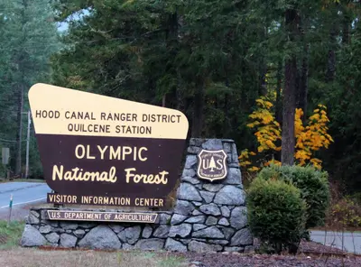 Olympic National Forest Sign - December 2017 01