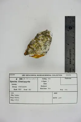 Chalcopyrite with Gold (46836620245)