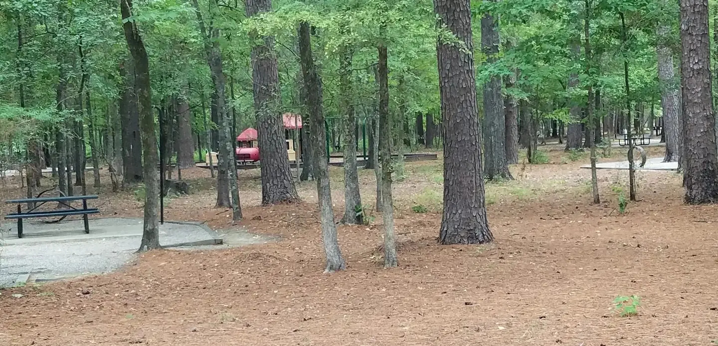 Campsite and playground in Malden Lake Campground.