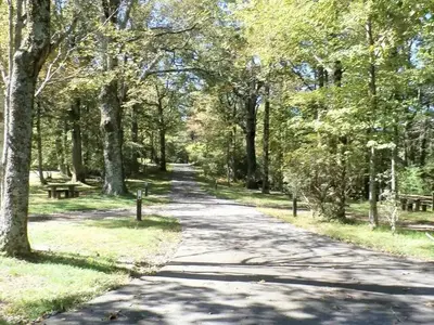 RV loop at Doughton Park.