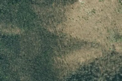 Camp site