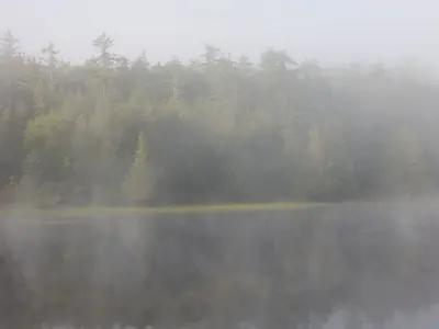 Petawawa River (38578216596)