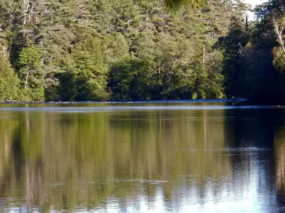 Petawawa River (37746973855)