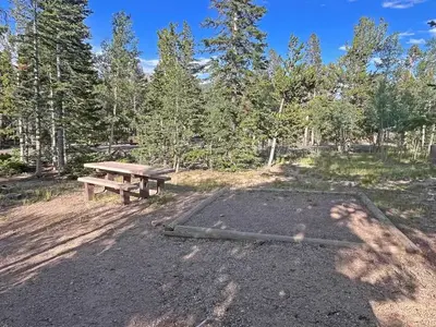 a site showing the tent pad and picnic table