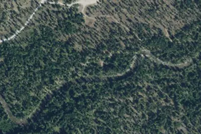 Lost Horse 015d