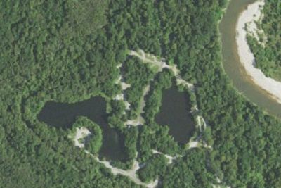 Bogue Chitto SP - Bottomland
