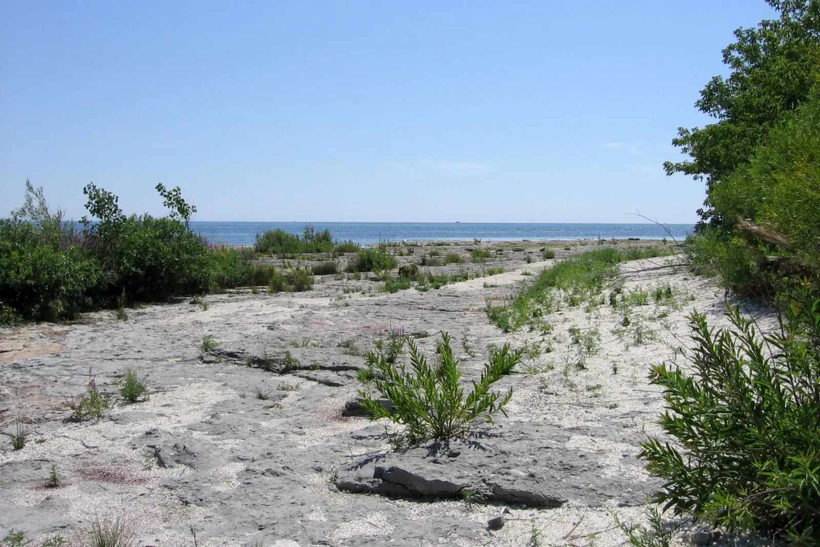 Photo of Rock Point Provincial Park
