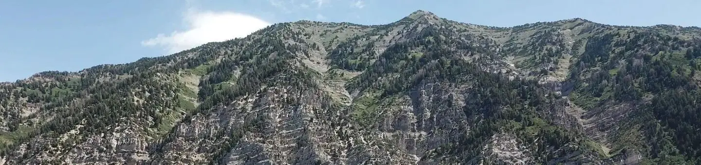 Rock Canyon
