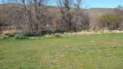 Deschutes River State Recreation Area - 056