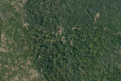 Deer Horn Camp 3