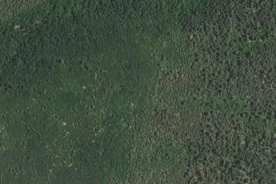 Bosque Campground