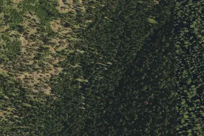Slide Horse Camp