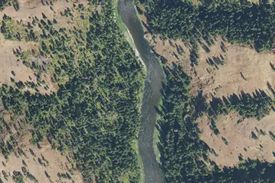 Camp site