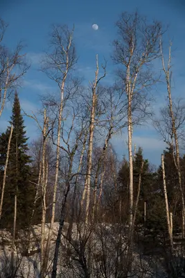 20180226-fs-lsc-0222 (42255930091)