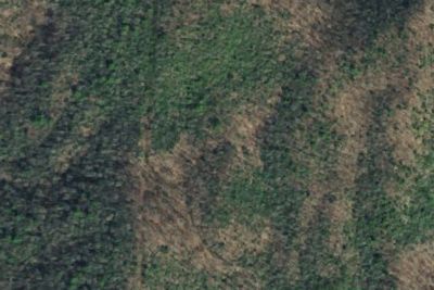 Turkeypen Ridge #6