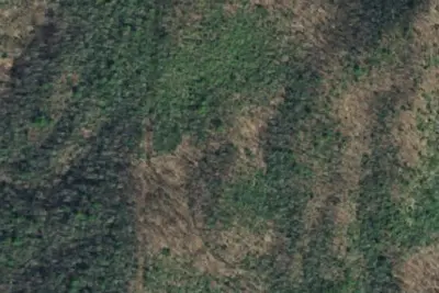 Turkeypen Ridge #6