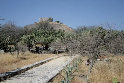 Camino al Cerrito
