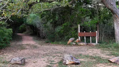 Birch Creek Trailhead Lake Somerville SP Texas 2023
