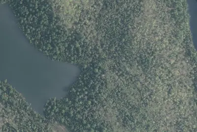 Camp site