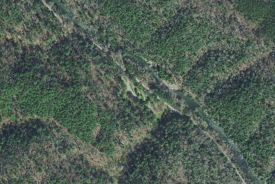 Young Branch Campground