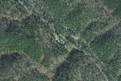 Young Branch Campground