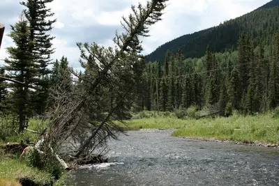 Conejos River, CO