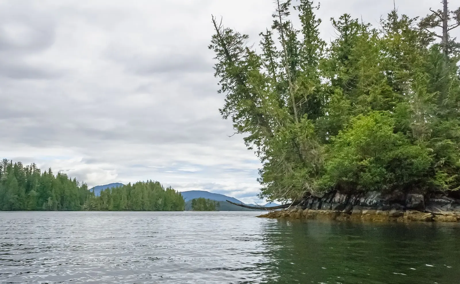 Photo of Penrose Island Marine Park