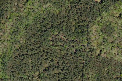 Camp site