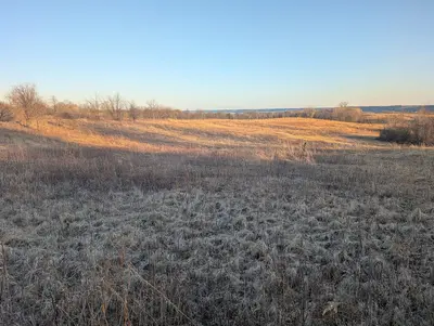 Frontenac State Park prairie area near campground