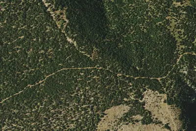 Camp site